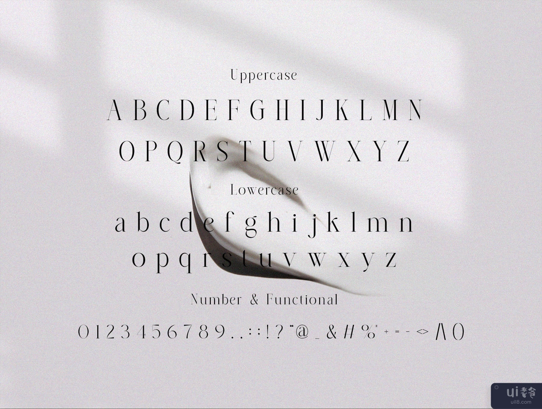 阿尔梅拉衬线字体 (Almera Serif)插图