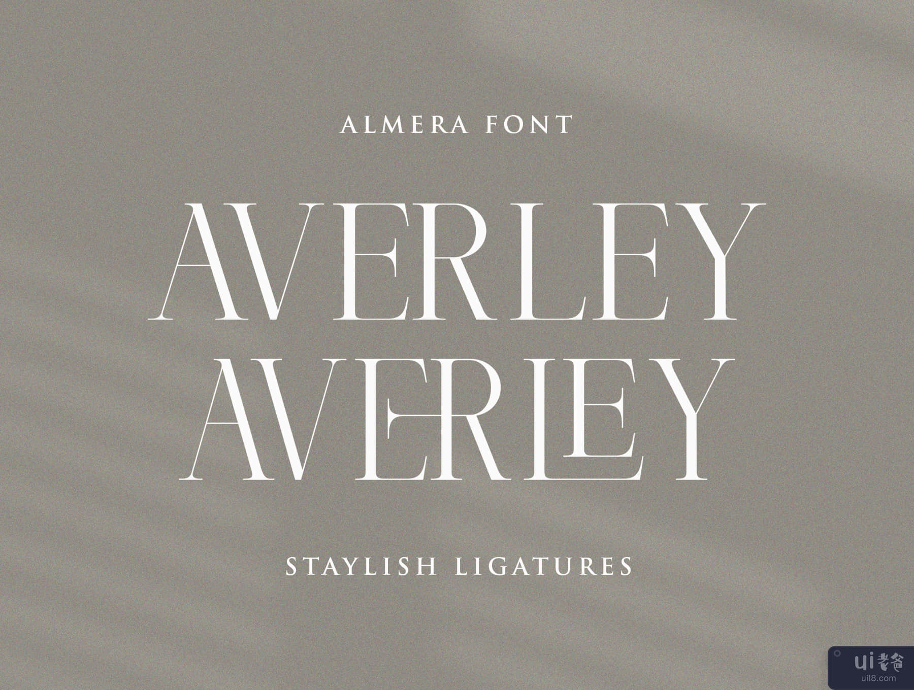 阿尔梅拉衬线字体 (Almera Serif)插图4
