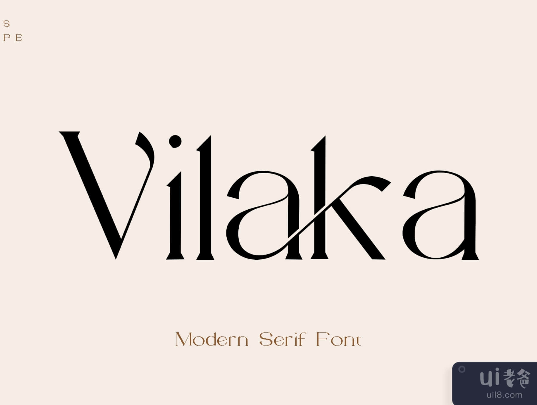 Vilaka现代有衬线字体 (Vilaka Modern Serif Font)插图