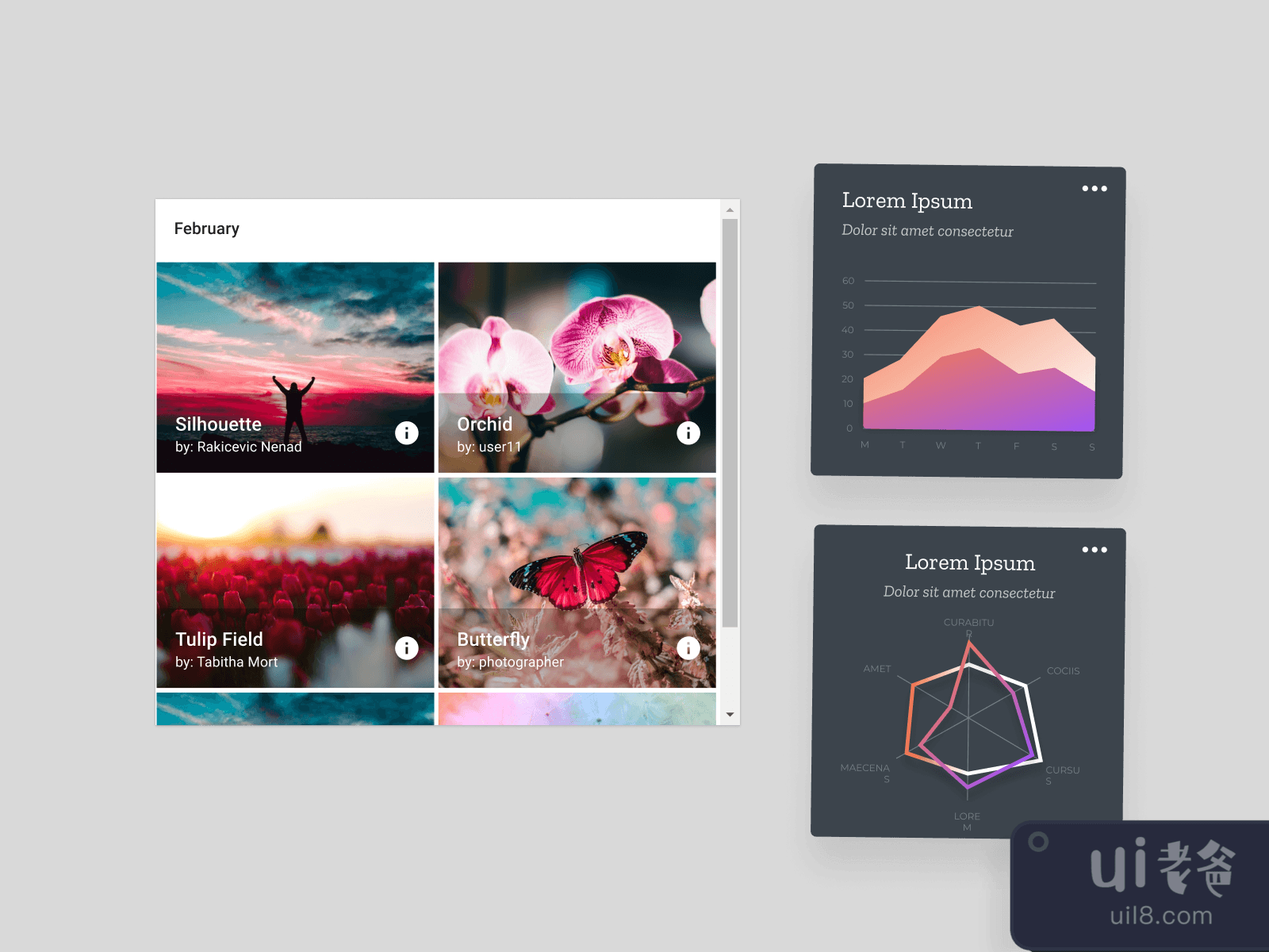 Material React Components UI Kit for Figma and Adobe XD No 2