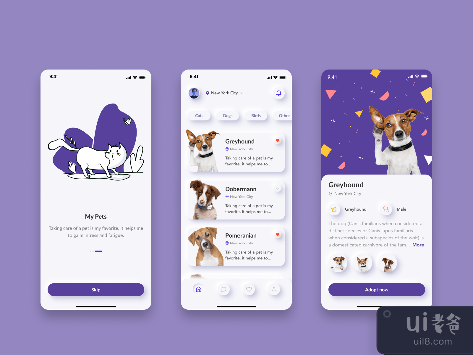 Pet Adoption Mobile App for Figma and Adobe XD No 2