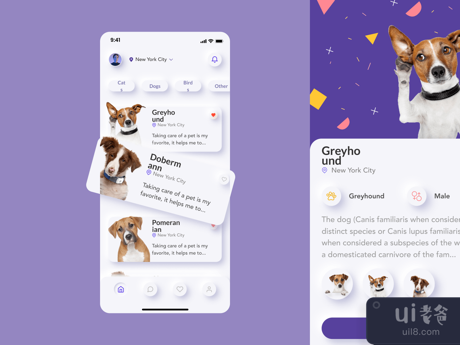 Pet Adoption Mobile App for Figma and Adobe XD No 3