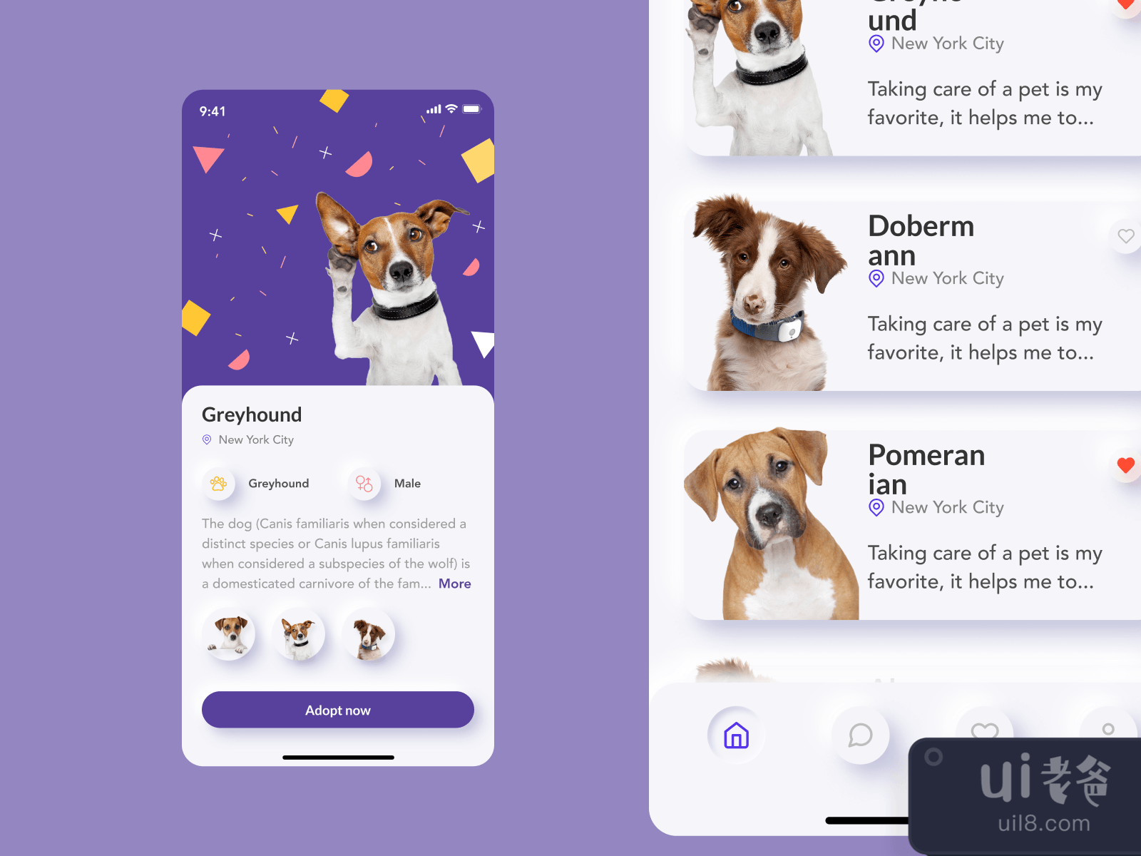 Pet Adoption Mobile App for Figma and Adobe XD No 4