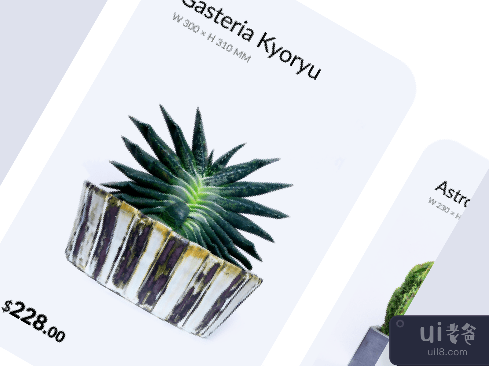 Plant Shop for Figma and Adobe XD No 4
