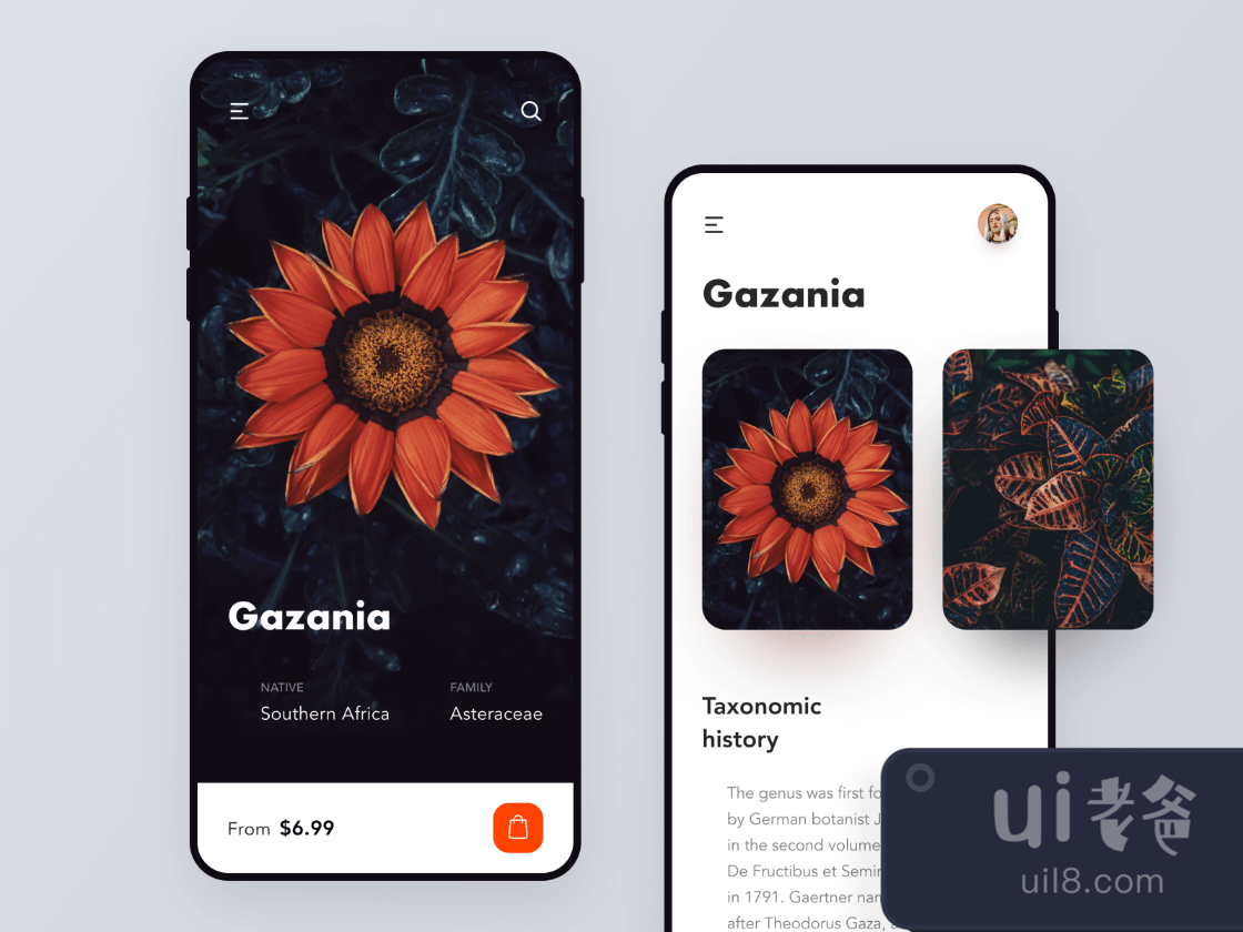 Flowers Shop Concept for Figma and Adobe XD No 1