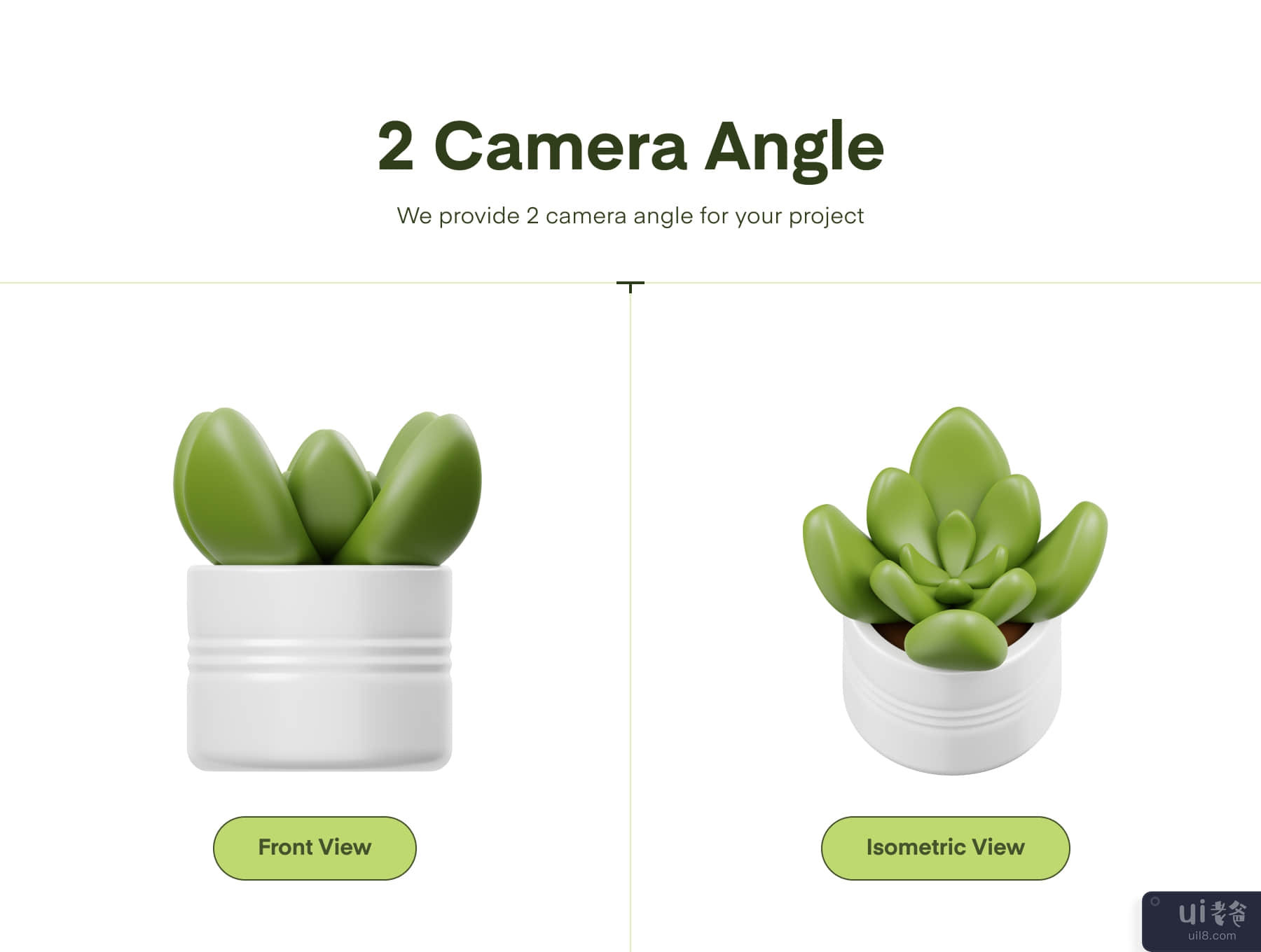 温室植物 3D 图标 (Houseplant 3D Icon)插图2