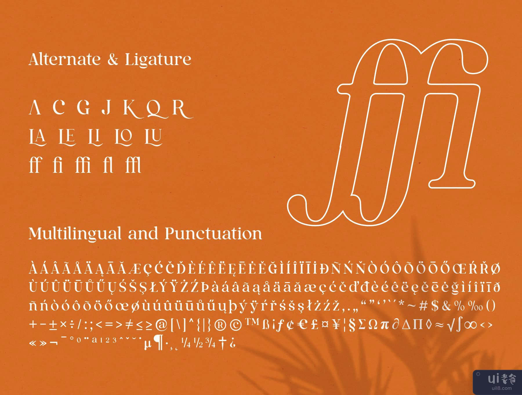 Qualux 字体系列 (Qualux Fonts Family)插图