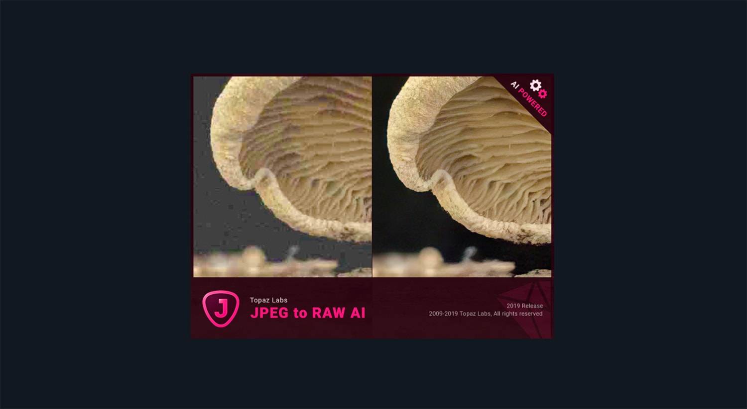 Topaz JPEG to RAW AI插图1