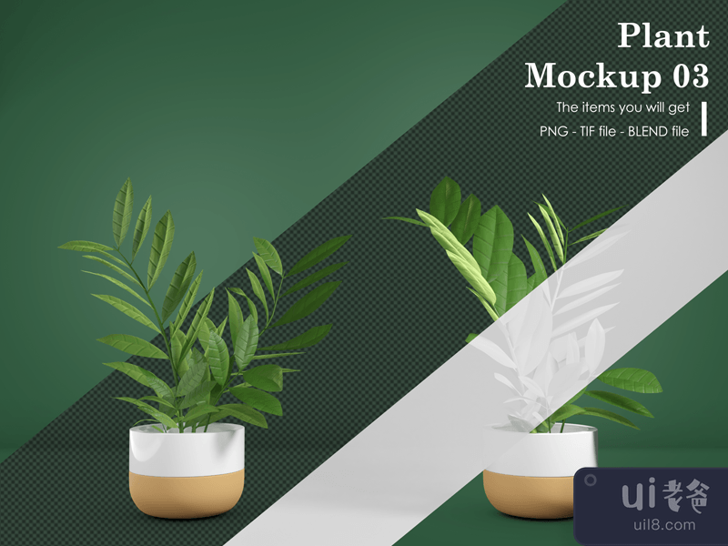 Plant Mockup 03
