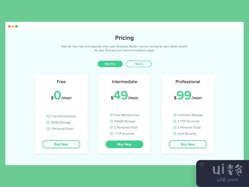 Pricing Page Concept in Web