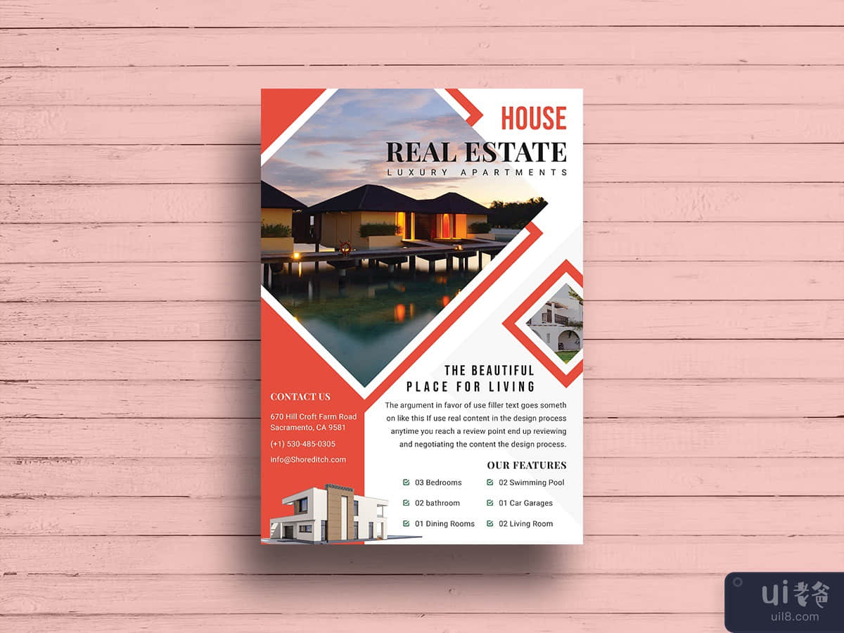 Real Estate Property Flyer Template-16