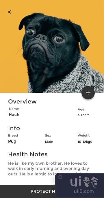 宠物护理应用程序（痒）(Pet Care App (itch))插图6