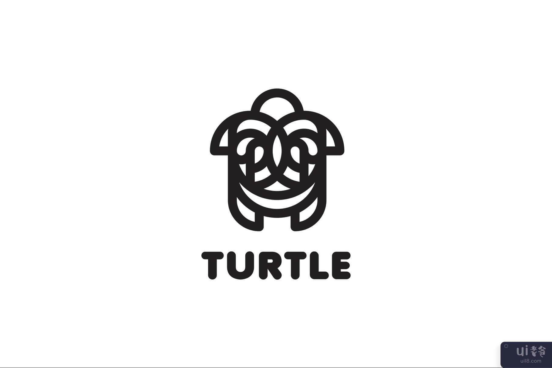 龟(Turtle)插图5