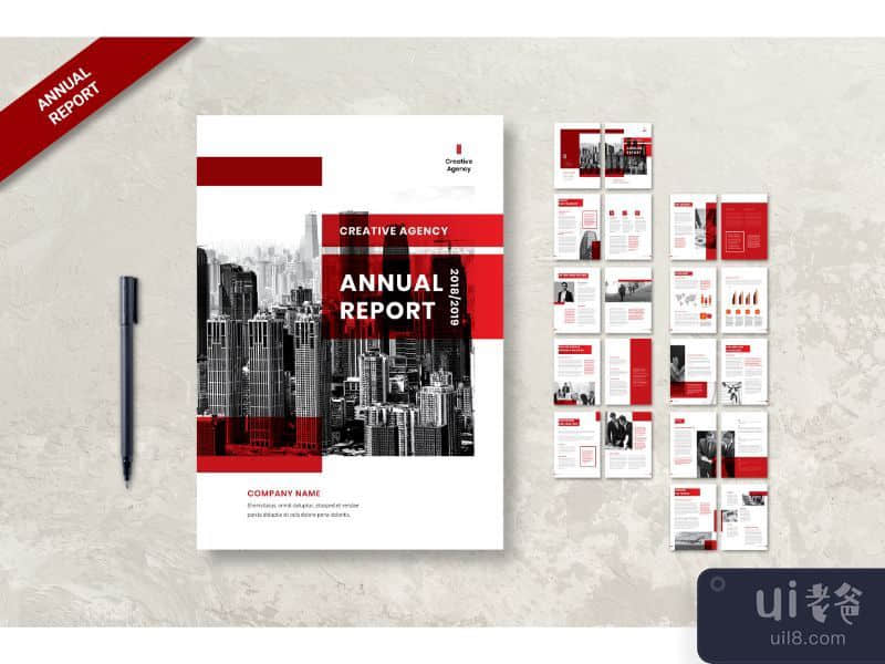 Annual Report Company Introduction