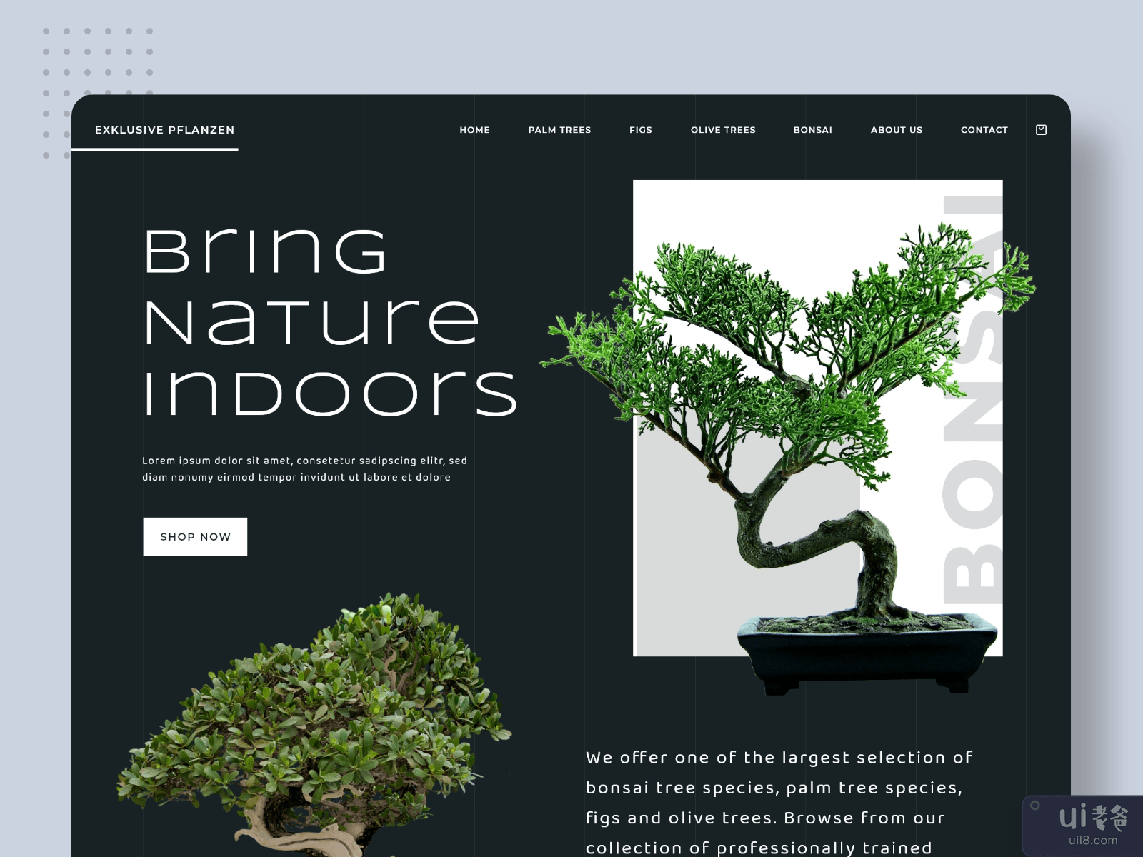 植物商店网站(Plant Shop Website)插图