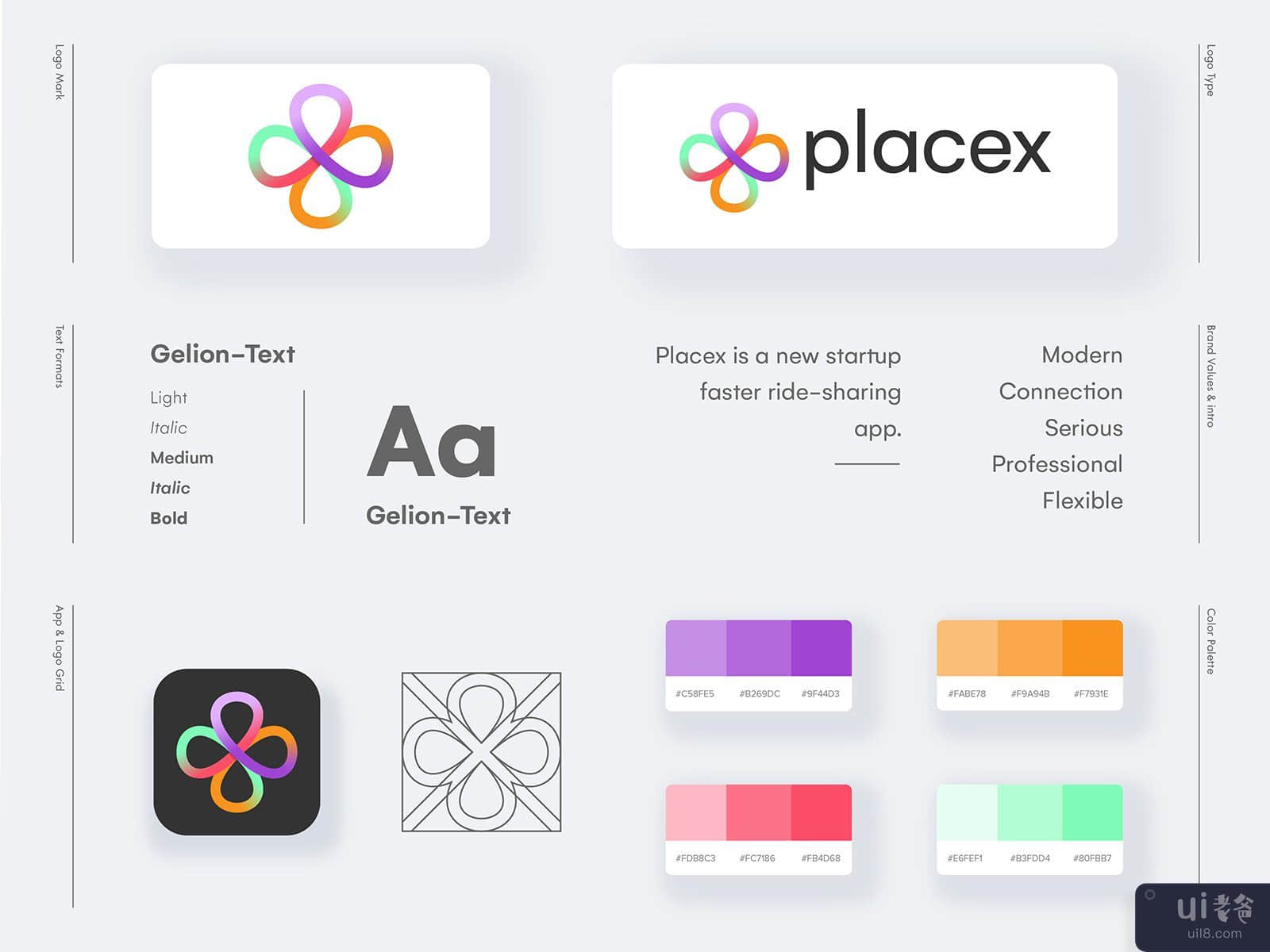 Placex-Brand Identity