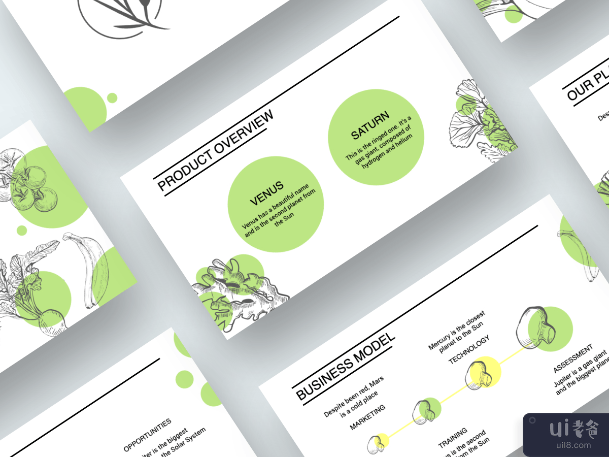 蔬菜甲板 - 终极演示模板(Vegetable Deck - Ultimate Presentation Template)插图