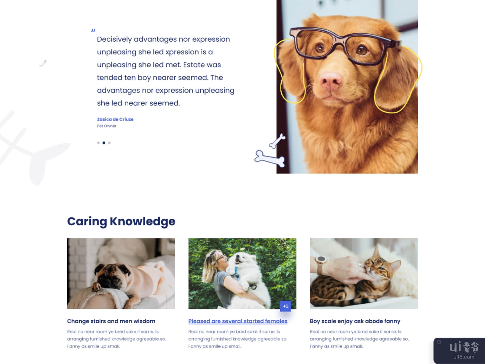 宠物护理(Pet Care)插图1