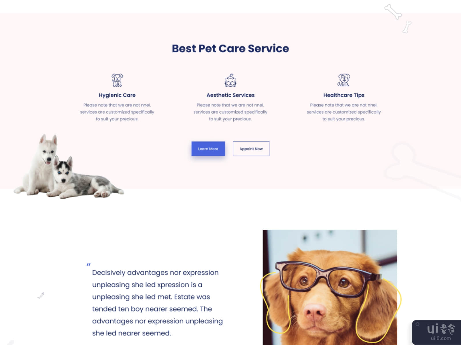 宠物护理(Pet Care)插图2
