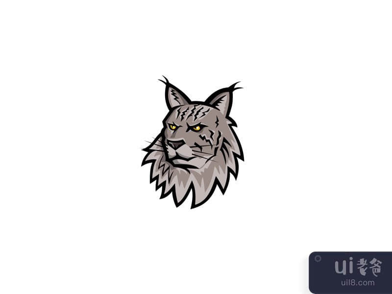  Maine Coon Cat Head Mascot