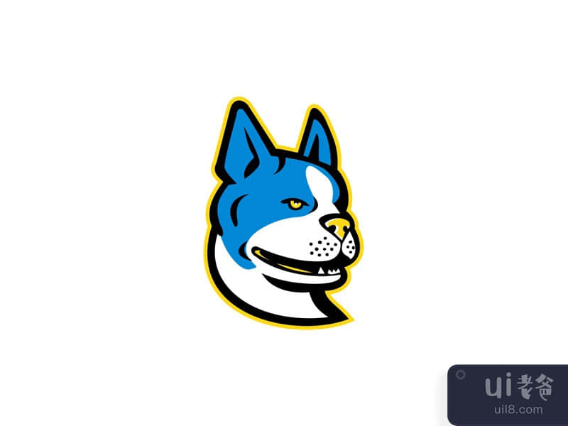 Boston Terrier Dog Mascot