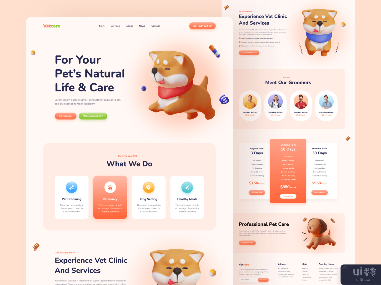 宠物护理登陆页面(Pet Care Landing Page)插图