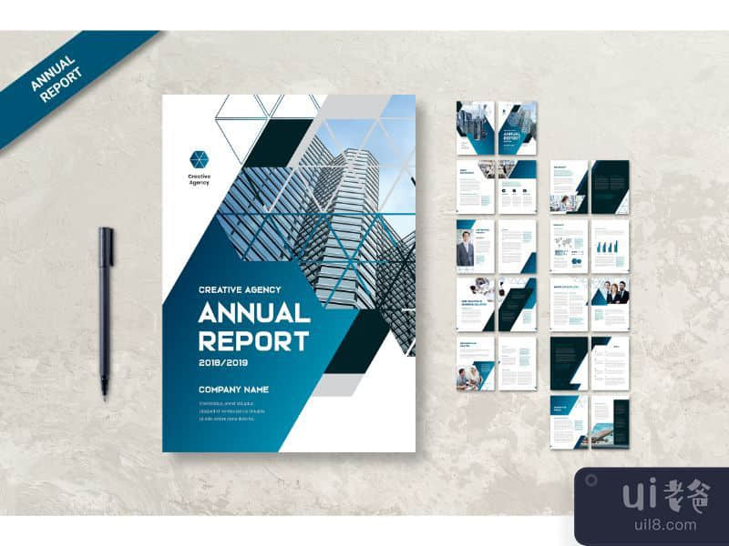 Annual Report Company Information