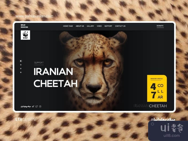 伊朗猎豹（RTL + LTR）(Iranian Cheetah ( RTL + LTR ))插图1