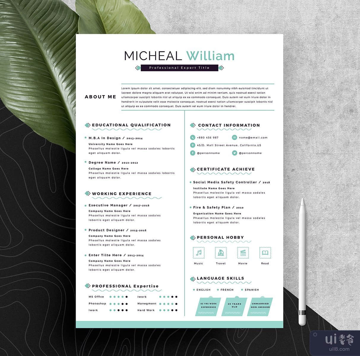 专业简历模板(Professional Resume CV Template)插图