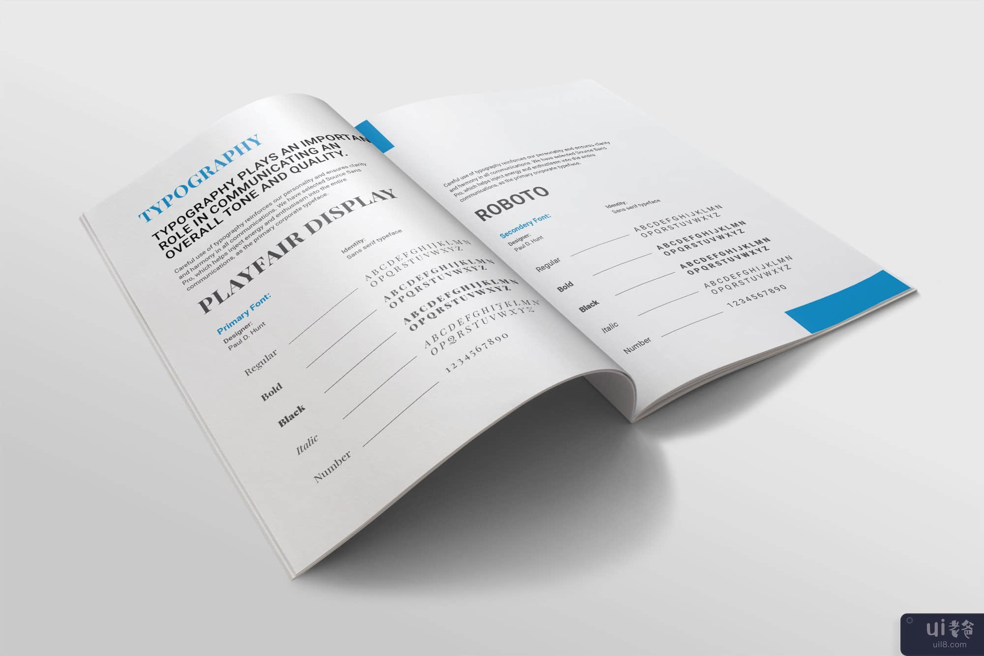 品牌指南模板宣传册(Brand Guideline Template Brochure)插图9