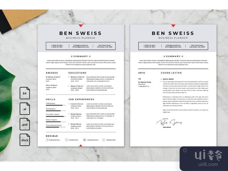 CV Resume Business Planner Profile