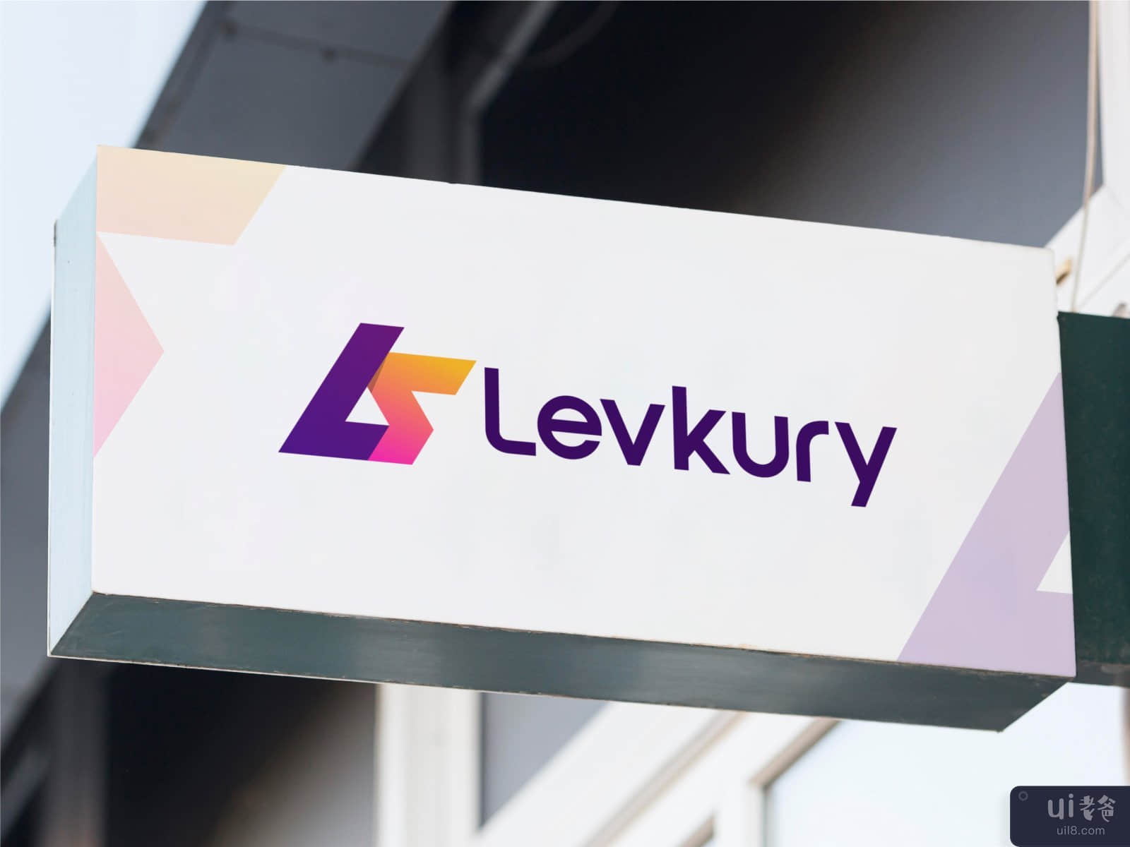 Levkury - 标志和品牌设计(Levkury - Logo and Branding Design)插图