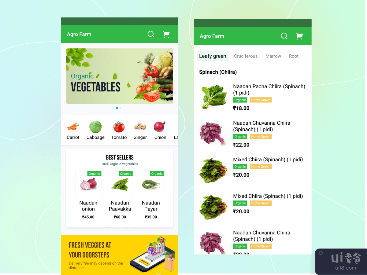 Organic Vegetable Delivery Concept