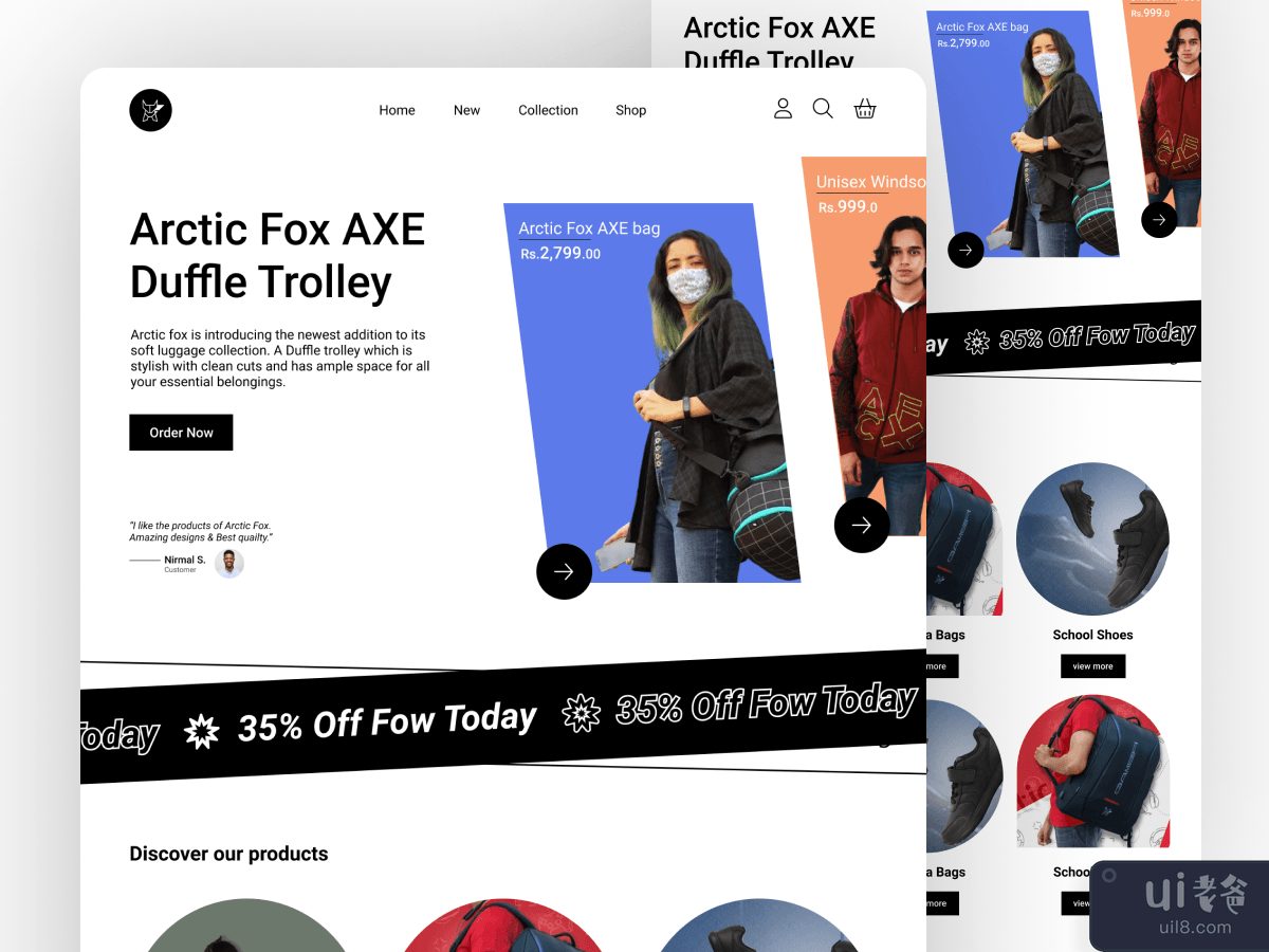 Arctic Fox Landing Page