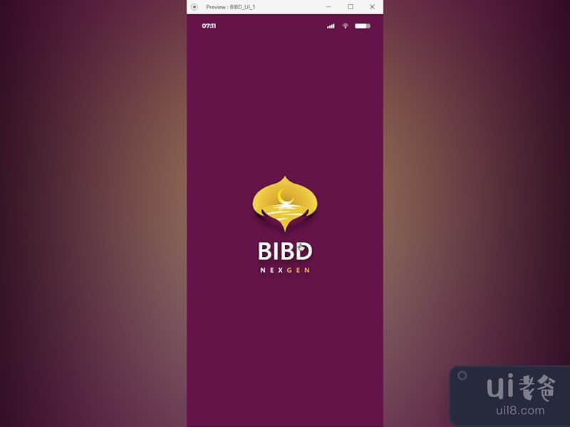 BIBD 应用程序界面(BIBD App UI)插图4
