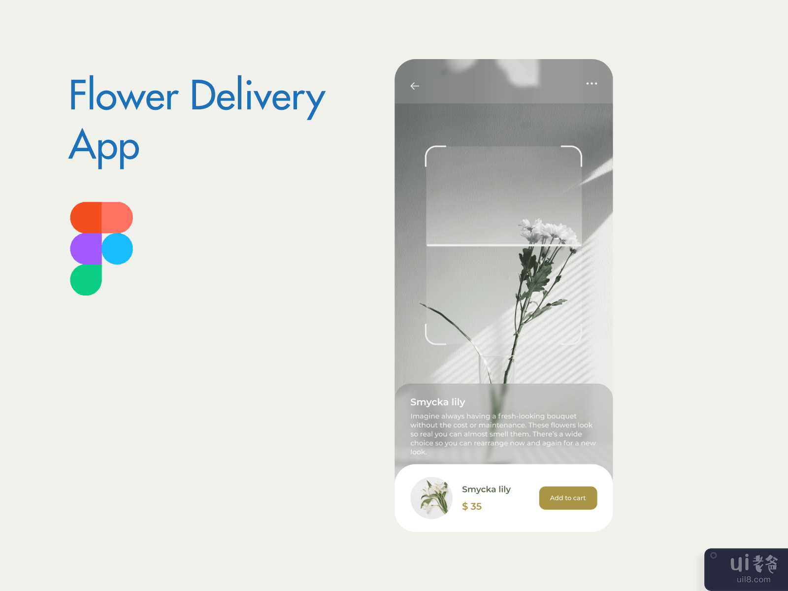 送花应用(Flower Delivery App)插图1