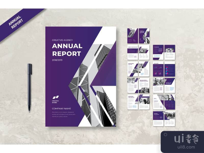 Annual Report About Company
