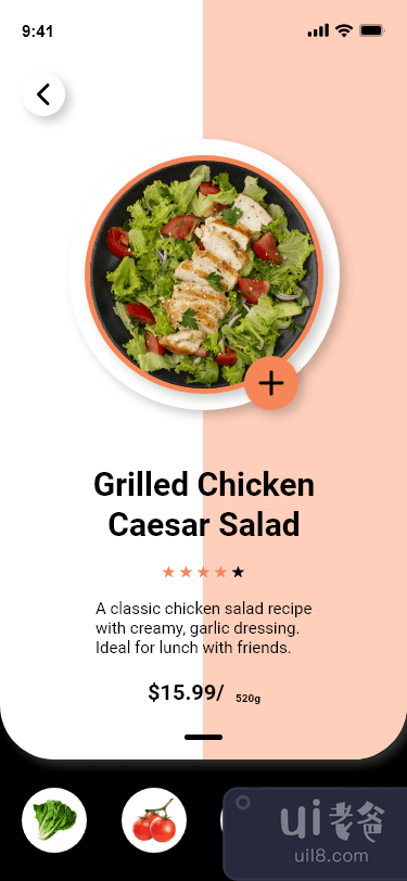 鸡肉食品用户界面(Chicken Food UI)插图1