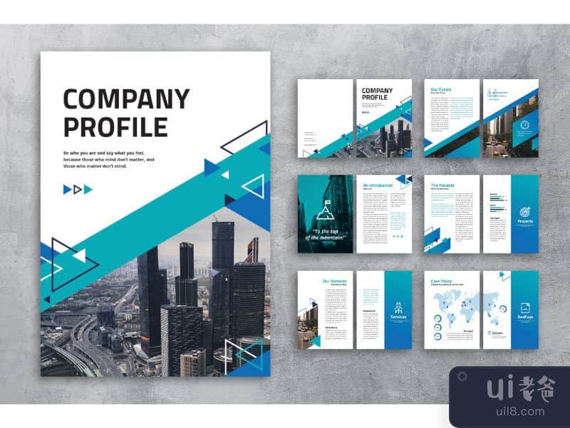 Company Profile – Business Career