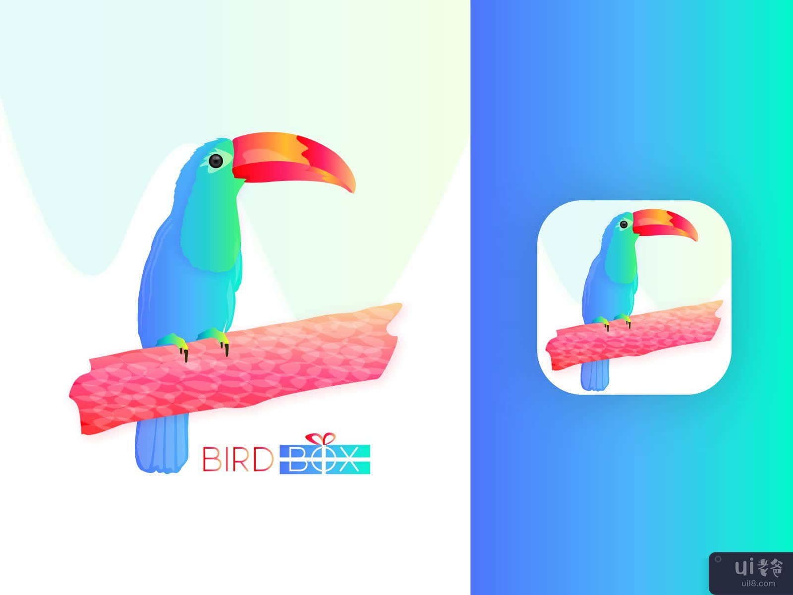 鸟箱(Bird Box)插图1