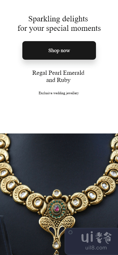 珠宝应用程序用户界面(Jewellery App UI)插图