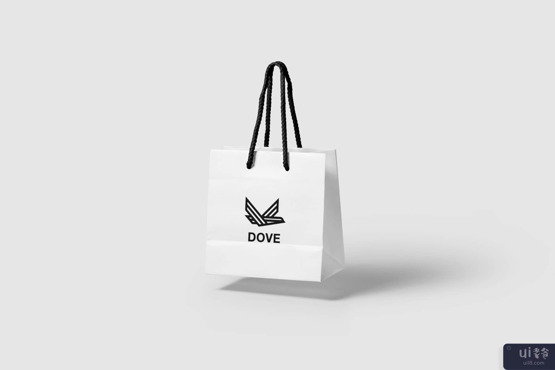 鸽子(Dove)插图3