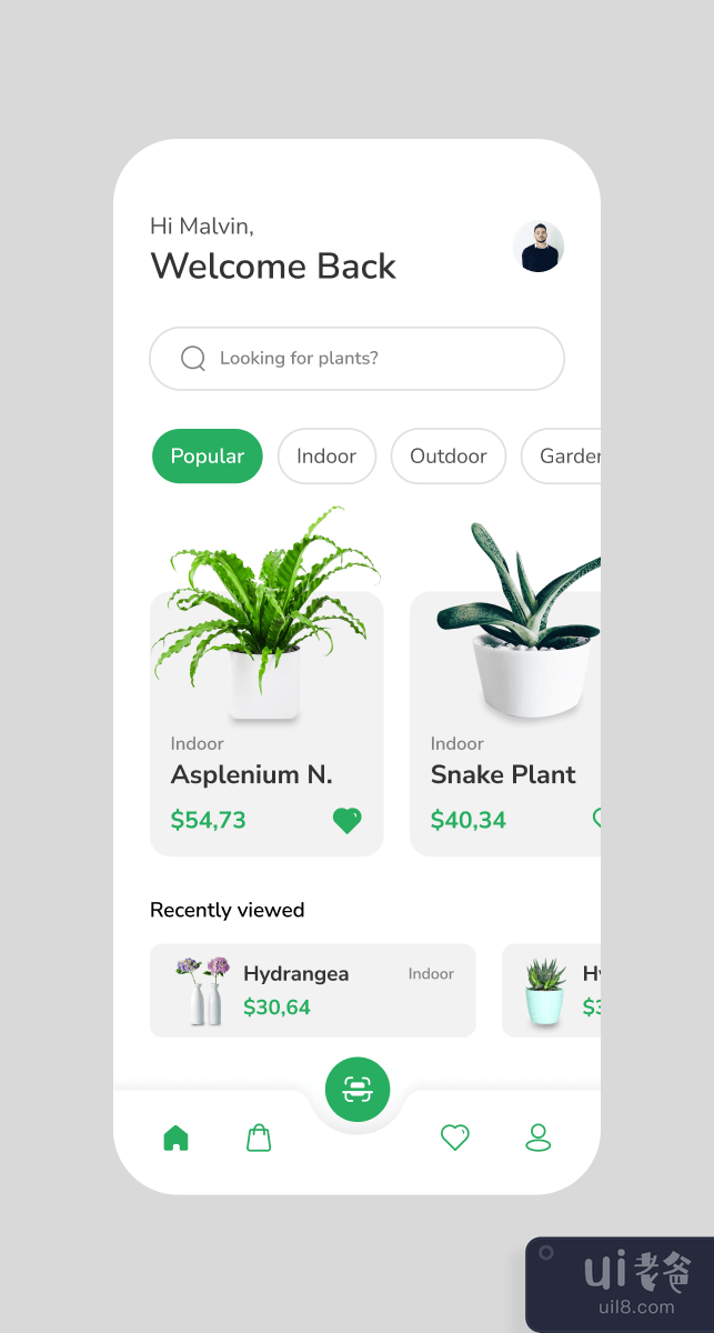植物识别 UI 套件模板(Plant Identification UI Kit Template)插图