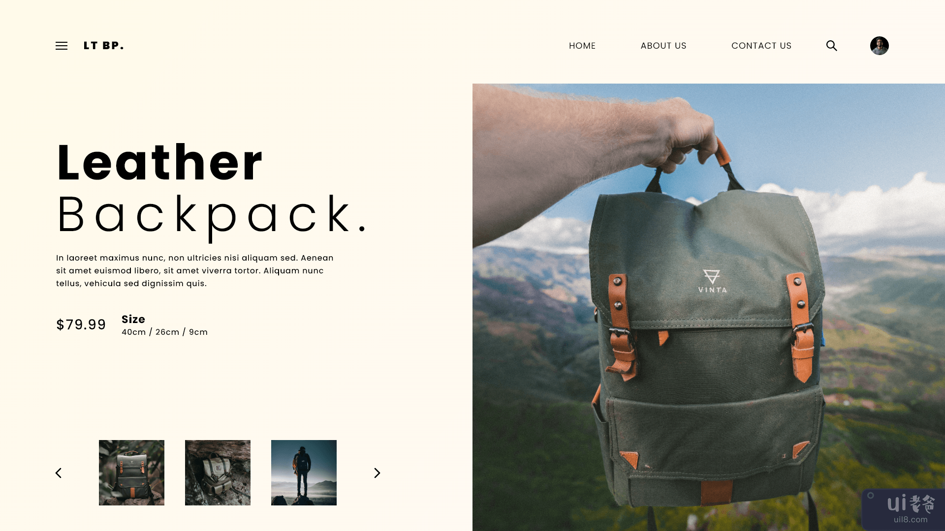 皮革背包 - Web UI 套件(Leather backpack - Web UI kits)插图