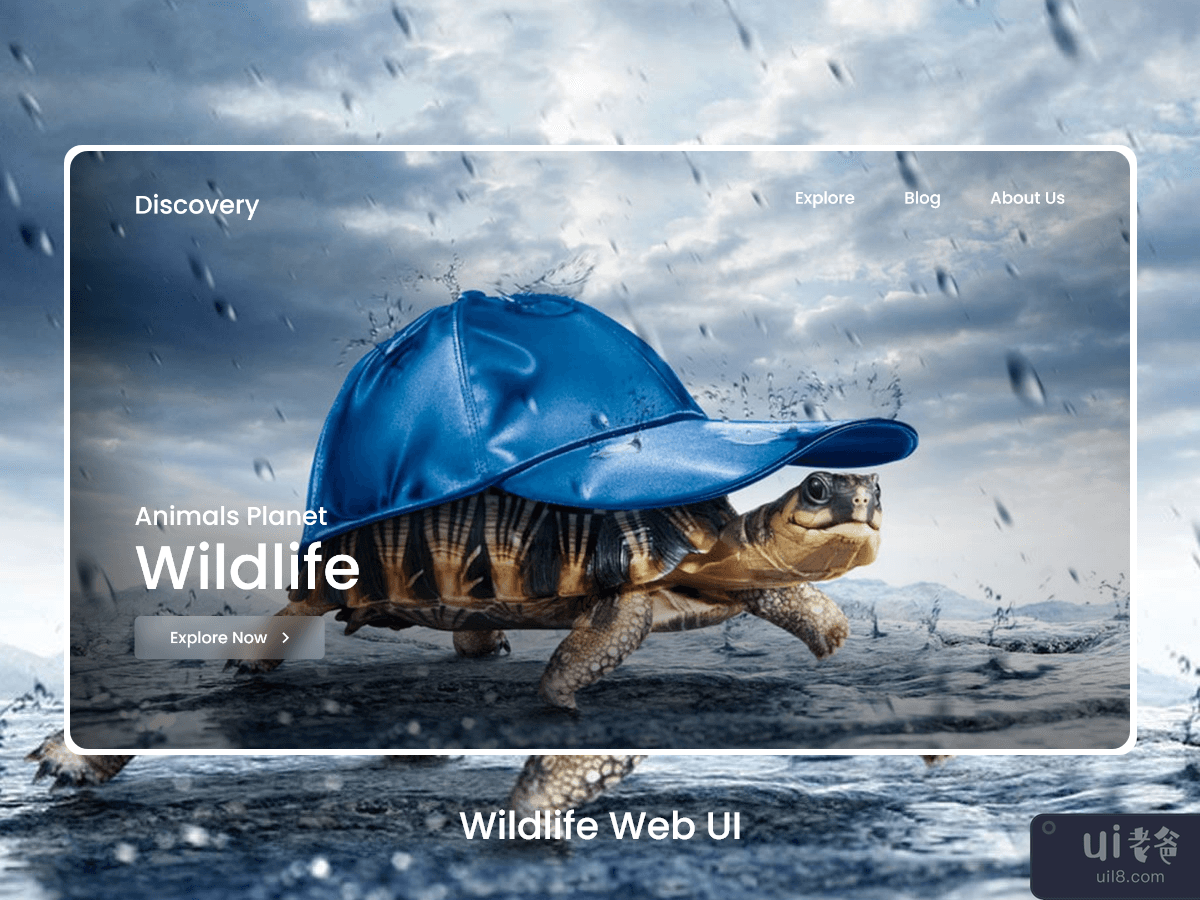 Wildlife Web UI