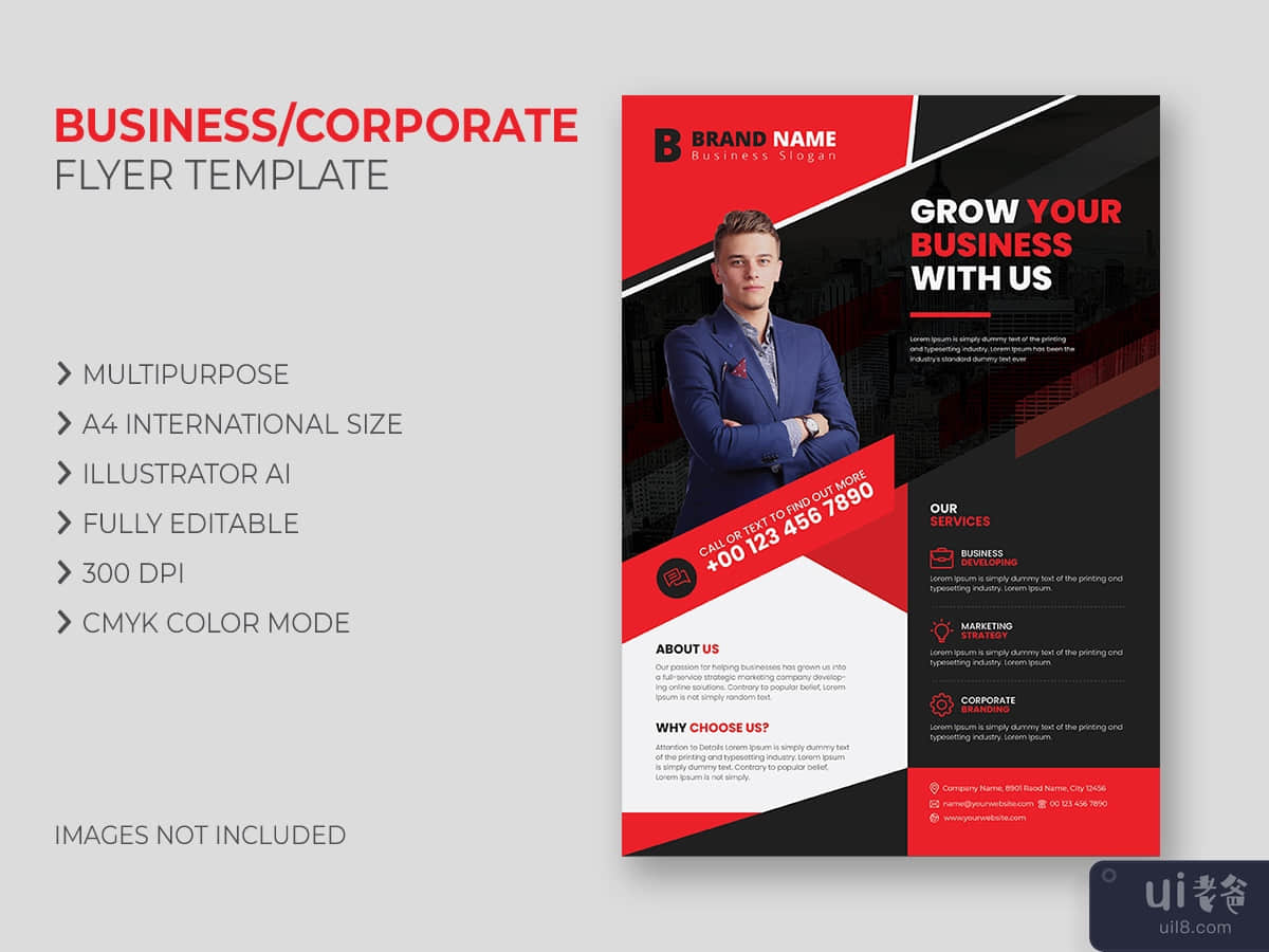 Business Flyer Template