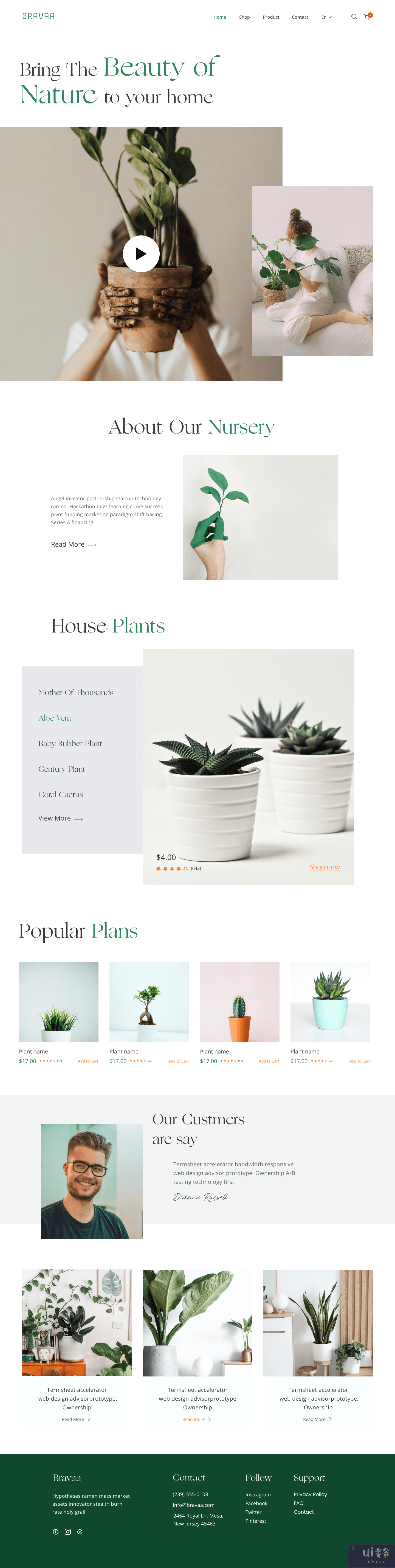 苗圃植物网站(Nursery plant website)插图