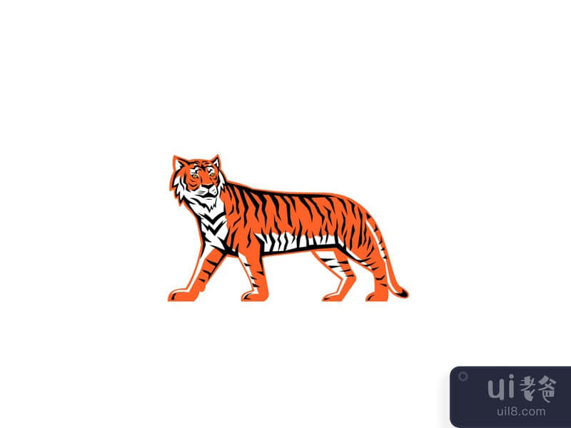 Bengal Tiger Full Body Mascot