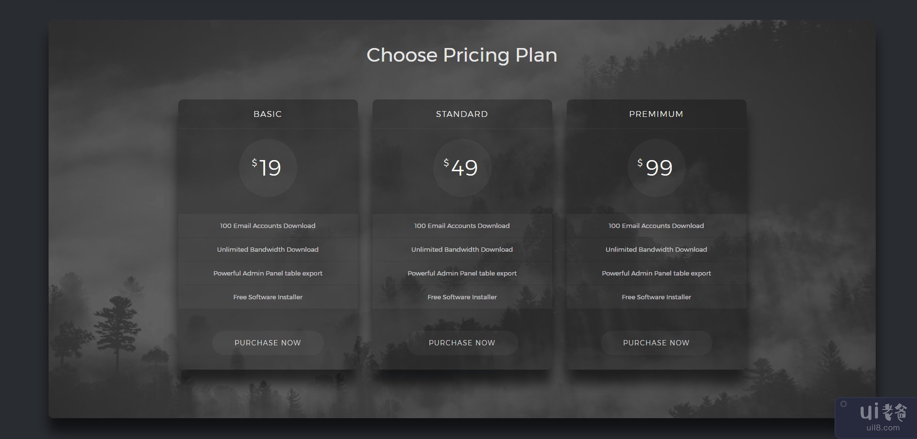 10 引导定价计划表(10 Bootstrap Pricing Plan Table)插图