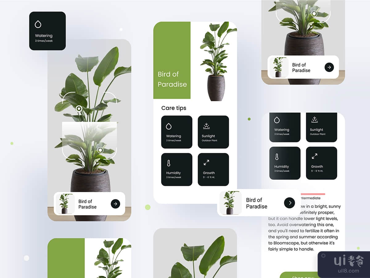 plant app ui kit